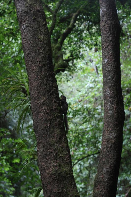 El objetivo del banco de germoplasma es conservar las especies amenazadas. (Foto: GEC)