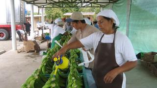 Ecuador, primer exportador mundial de banano, se blinda contra plaga Fusarium