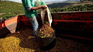 Mayor exportador de café de Brasil prevé envíos récord en 2022