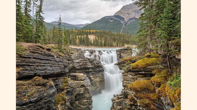 Cataratas de Athabasca,Jasper,Alberta,Canadá;Experimenta la belleza de estas cascadas en el Parque Nacional Jasper.
