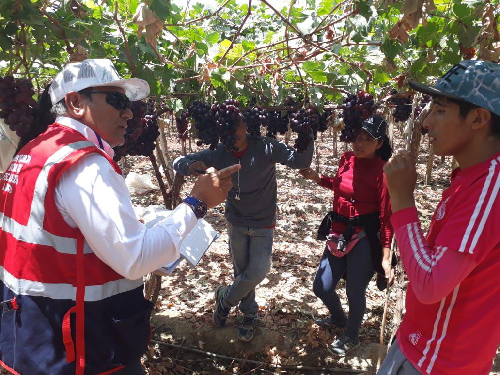 Los operativos de formalización fueron realizados por el equipo de inspectores denominado Perú Formal Rural. (Foto: Difusión)