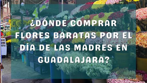 Encuentra las mejores opciones para comprar flores económicas en Guadalajara este Día de las Madres 2024. Sorprende a tu progenitora con un hermoso detalle sin gastar de más. | Crédito: @turismocdmx / Composición Mix