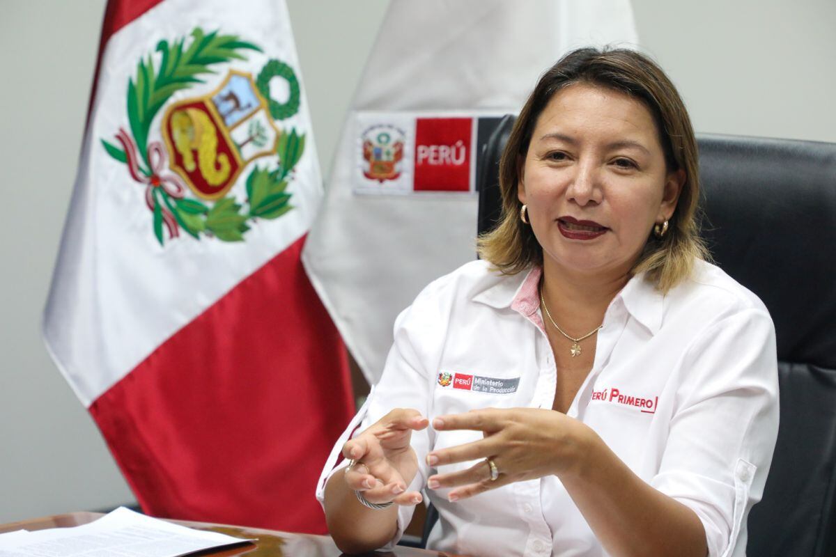 Ministra Rocío Barrios sobre denuncia: "Acusación fiscal carece de ...