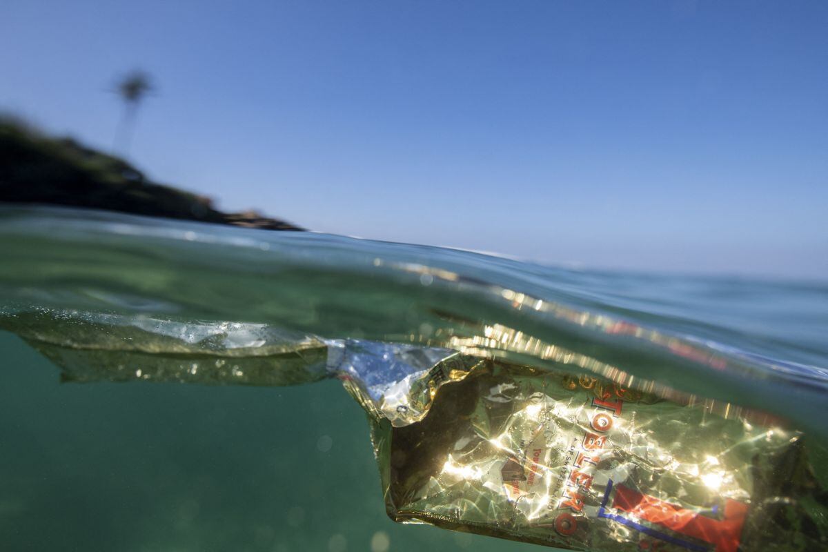 “We abuse plastic because it is so cheap,” warns UN Environment chief