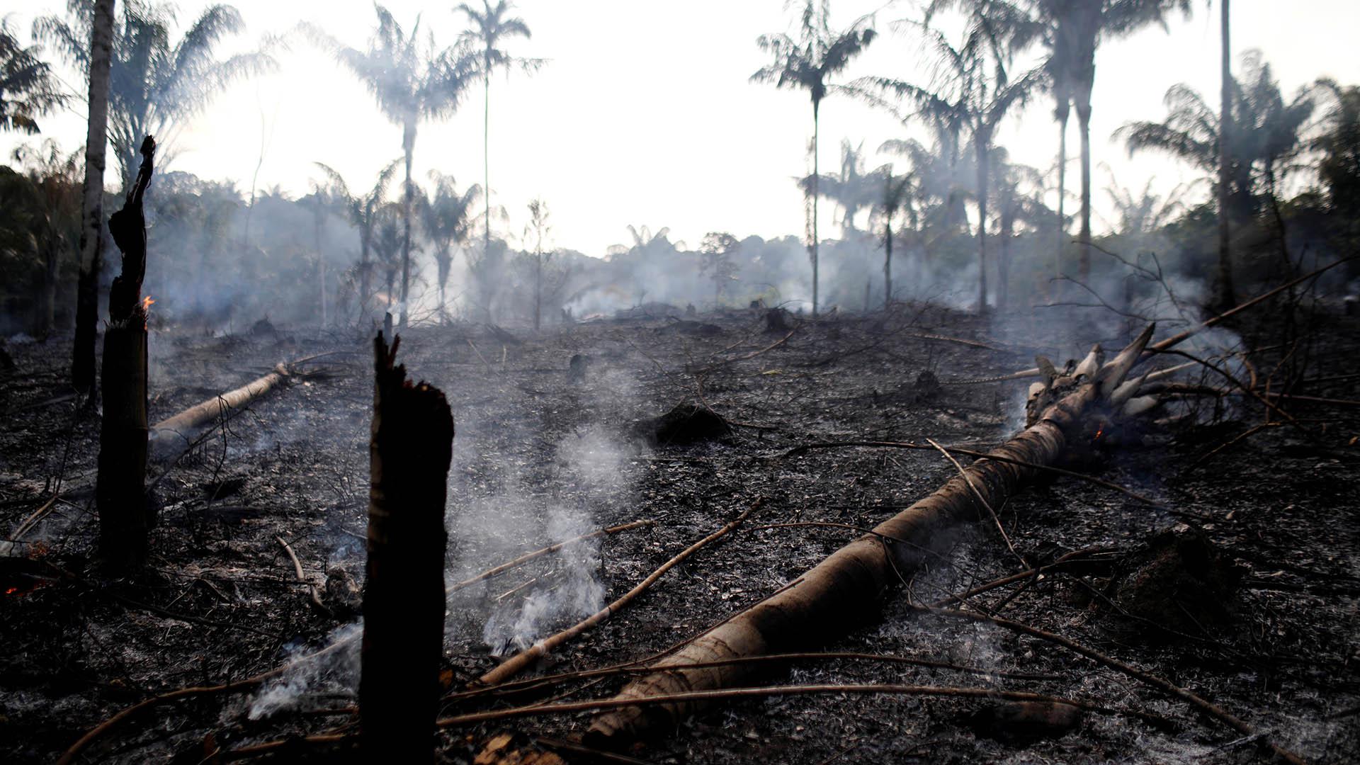 Amazonas en llamas: Estas son las fotos más impactantes de los incendios en Brasil. (Reuters)