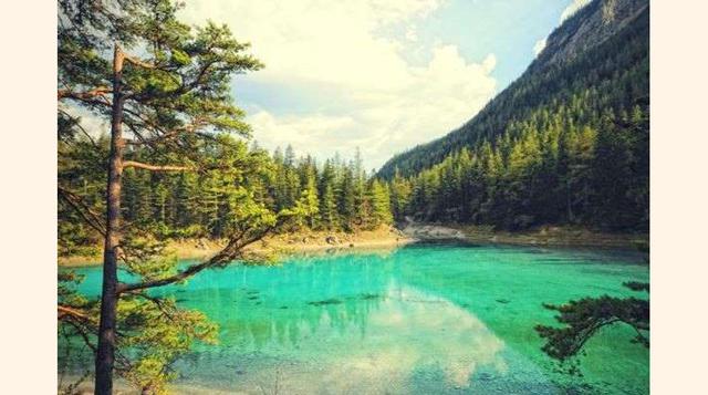 Lago Verde, Austria. El Lago verde o Grüner See es conocido por el increíble color de su agua verde esmeralda y transparente procedente de los deshielos. Se encuentra a los pies de las montañas Hochschwab, en el municipio de Tragoess en Styria.