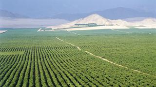 Se utilizará agua subterránea para atender al agro por ausencia de lluvias en Lambayeque