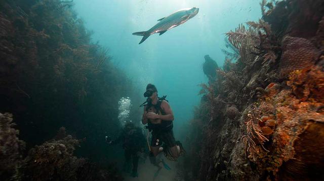 8. Probar el con ojo de pezLowy también usó dos ajustes de lente diferentes: uno era un lente 10×18, y el otro un lente de 20 milímetros con ojo de pez de 16mm que utilizó para hacer primer plano de los ataques a las presas. “Cuando tienes un gran angular