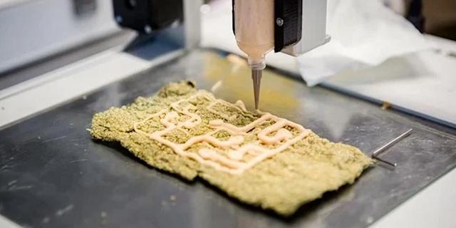 FOTO 11 | 11. Comida impresa en 3D (Foto: 3DERS)