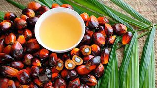 Sobra aceite de palma sostenible, lo que falta son compradores