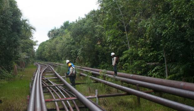 El petróleo y el gas conforman las principales fuentes de energía primaria que se consumen en el Perú. (Foto: Andina)