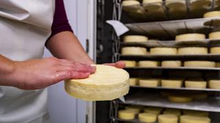 Consumo de quesos nacionales crecerá más que en años anteriores mientras importaciones caen 