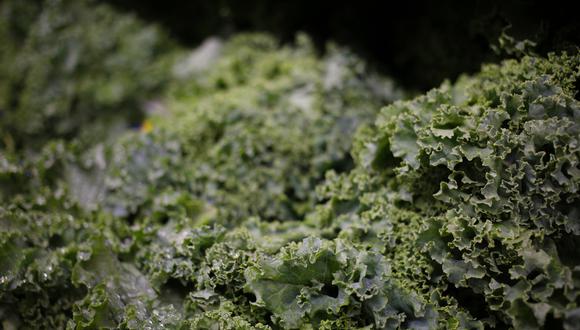 Los alimentos se venderán en paquetes llamados “Enrichables” (enriquecedores), los cuales se pueden añadir a pastas, sopas y otras recetas, según un comunicado publicado el martes. (Foto: Bloomberg)