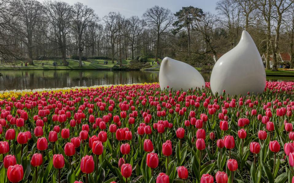 (Foto: Keukenhof)