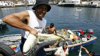 Gremio pesquero: Debe realizarse informe anual sobre estado de recursos pesqueros
