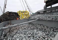 Pesca de anchoveta en la zona norte - centro superó el 60% de avance de la cuota
