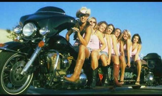 Foto 6 | Supongamos que alguien ama la sensación de libertad, el viento en la cara y el ronroneo de un motor Harley, pero también goza viajando con amigos y amigas. Aquí está la solución: una moto Harley Davidson del año 1998 alargada hasta lo imposible.