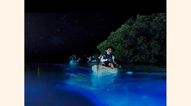 Mosquito Bay,Vieques, Puerto Rico; Uno de los lugares más mágicos en el Caribe es ver el agua agitada del caribe con el plancton