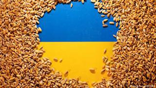 Exportación de grano ucraniano implicará la creación de una zona de seguridad, afirma Rusia