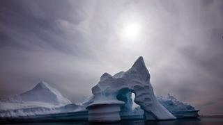 Destrucción de la naturaleza amenaza la humanidad "al menos tanto" como el cambio climático