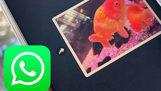 WhatsApp: pasos para enviar fotos en HD sin usar otros programas