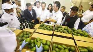 Produce invirtió S/ 6.3 millones en CITE agroindustrial en Huaura