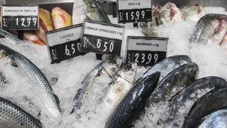 Semana Santa: Precio del pescado subió hasta en más de 90% en Lima