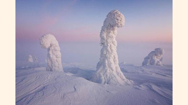 Centinelas del Ártico (Laponia, Finlandia). Bajo estas misteriosas siluetas no hay más que árboles cubiertos de nieve, lo que ocurre es que es tanta y está tan fría que adquiere interesantes formas.