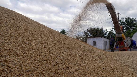 Rusia y Ucrania son los principales proveedores mundiales de trigo. (Foto: REUTERS/Igor Tkachenko/File Photo).
