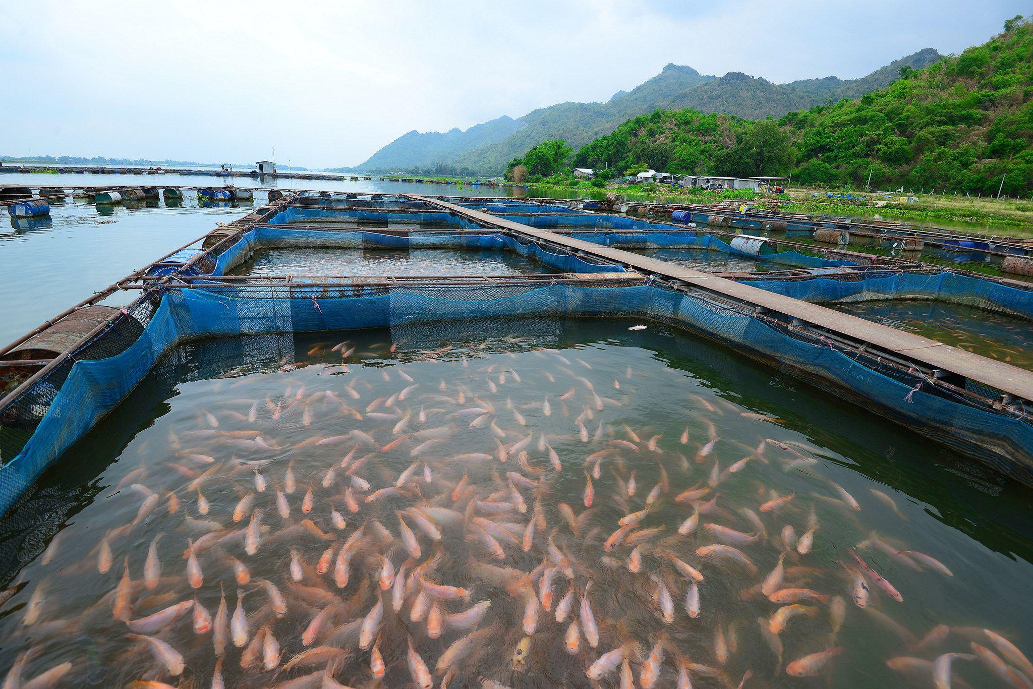 El Decreto Legislativo N° 1431 facilitará la formalización de algunas empresas que actualmente operan al margen de la legalidad. (Foto: Difusión)