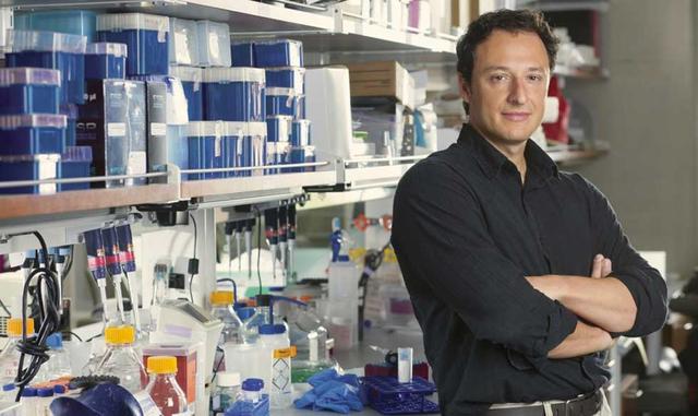 FOTO 31 | Myleus Análises Genéticas (Brasil)