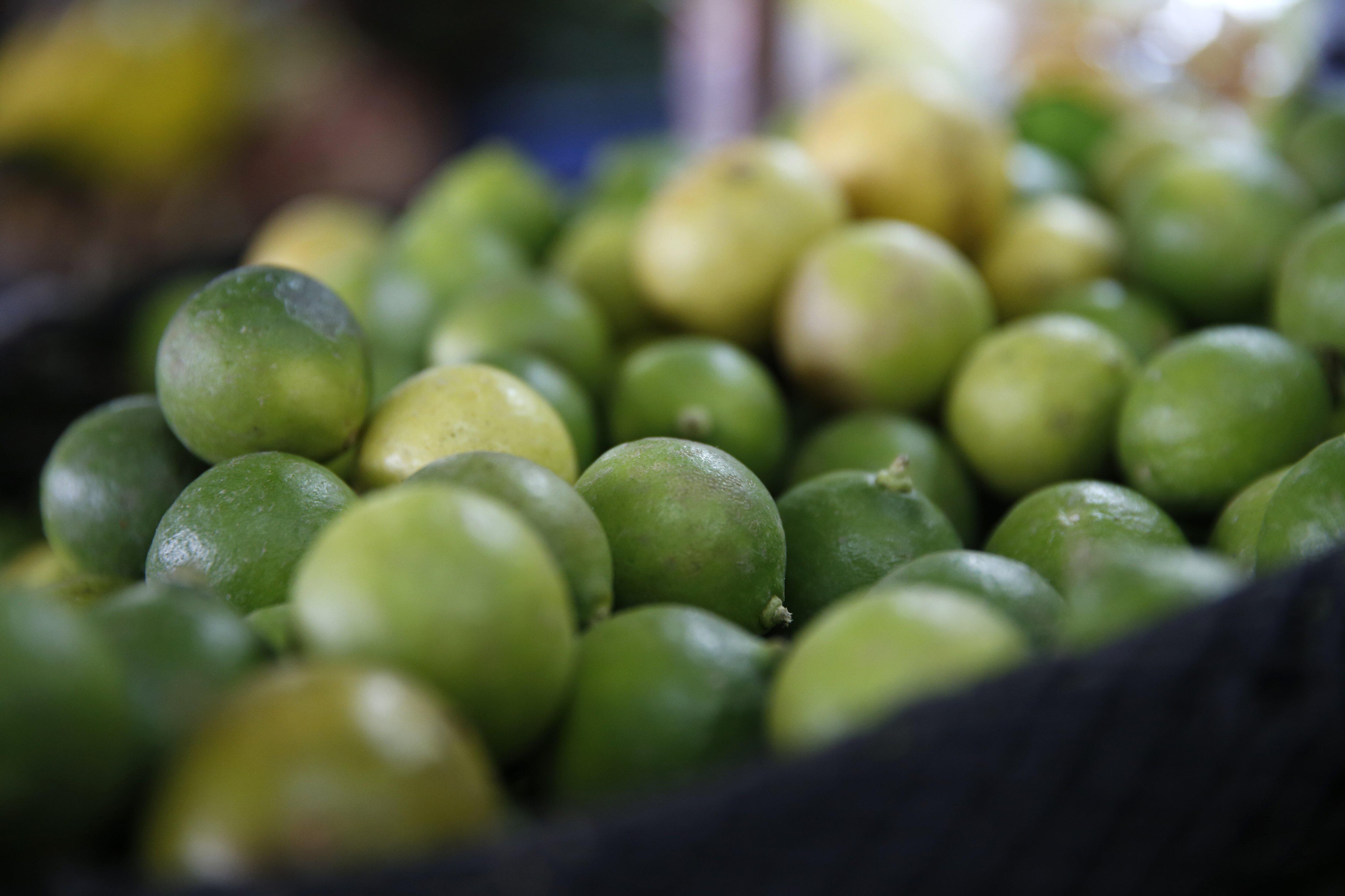 Ingreso de la temible plaga del dragón amarillo al país generaría escasez y dispararía los precios del limón. (Foto: Manuel Melgar)