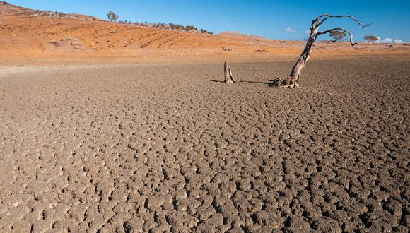 Uno de los principales efectos de El Niño es la sequía en territorios cultivables, lo que genera grandes pérdidas económicas.