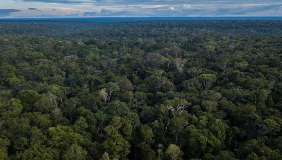 Amazonía. (Foto: AFP)
