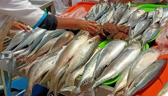 Primera temporada de pesca no se realizó a consecuencia de El Niño Costero y la segunda inició recién el jueves pasado. Foto: GEC.