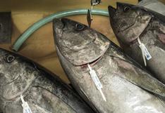 Ecuador crea frente para proteger las exportaciones de atún a Europa