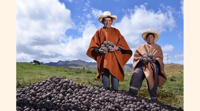 En categoría Comunidad. El primer puesto es para Minera Yanacocha - Programa Producción Competitiva de Papa Nativa y Comercial en el ámbito del Proyecto Conga que busca desarrollar capacidades organizacionales y técnicas.