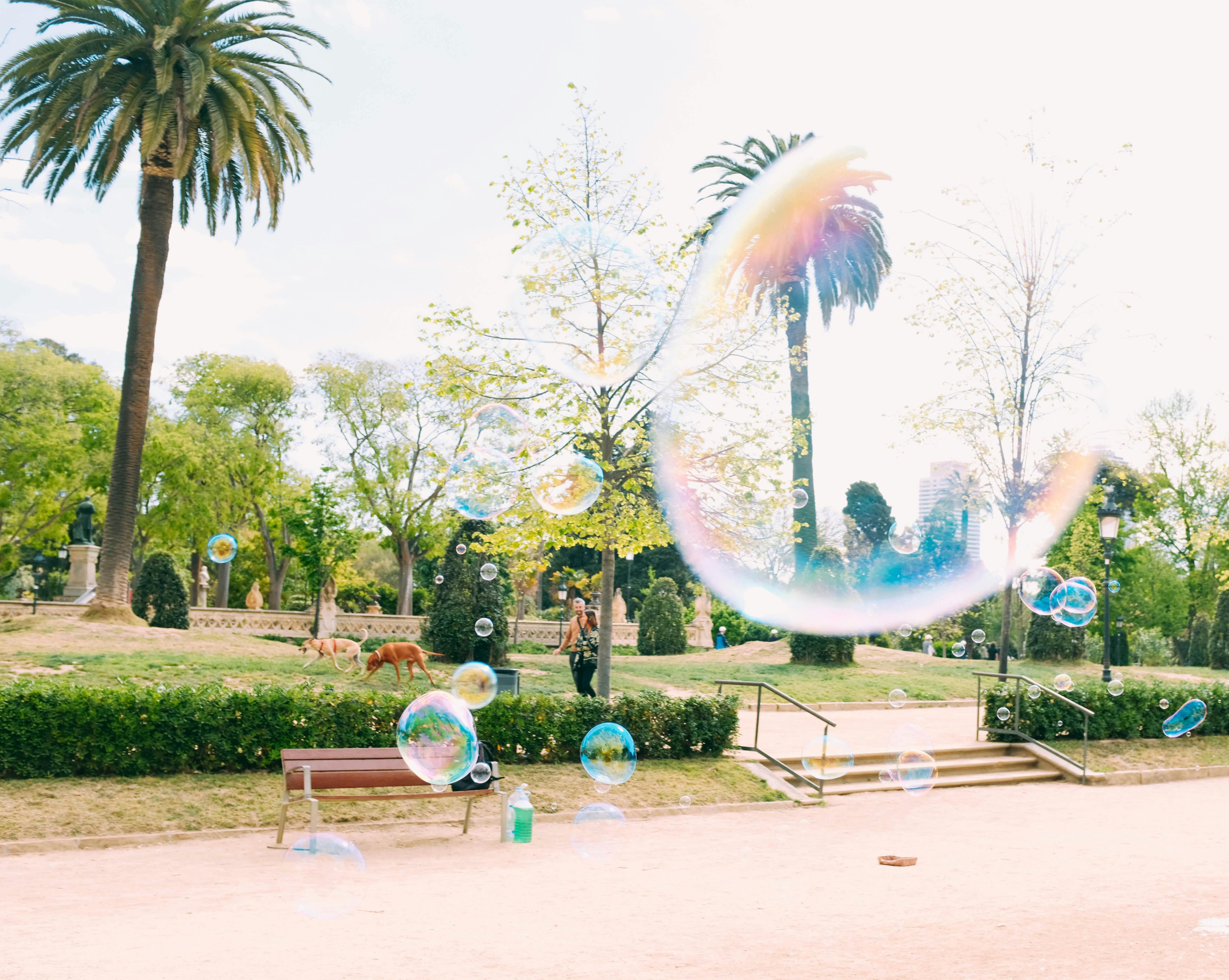 Puedes encontrar burbujas con varitas por 1.25 dólares en el Dollar Tree (Foto: Pexels)