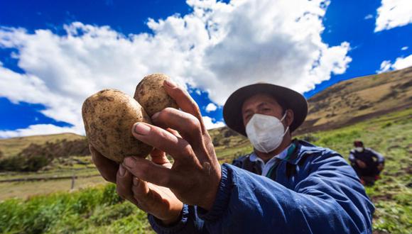 (Foto: Andina)El Bono Alimentario se implementará en el país para este 2022.