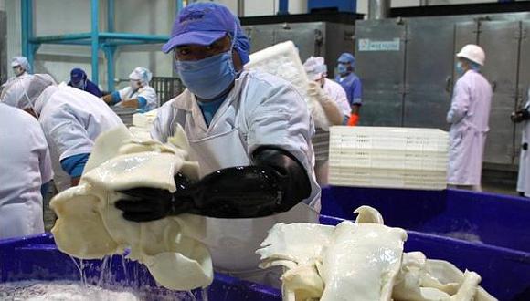Entre enero y abril de este año, las exportaciones de pota peruana alcanzaron los US$ 429 millones. (Foto: USI)