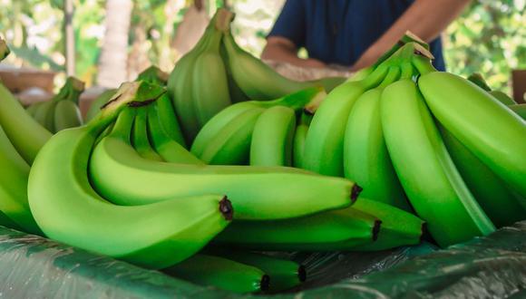 Perú ocupa el primer lugar como país exportador de banano orgánico, según cifras del 2018. (Foto: Andina)