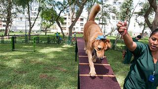 San Isidro: Establecen multas de S/ 4,050 por ladridos de perros