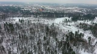 Rusia apuesta por la madera para reducir su dependencia del petróleo