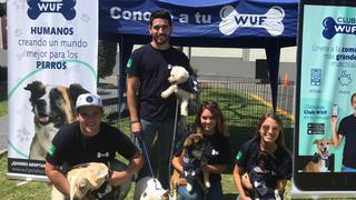 “La Nueva Empresa” sostenible a partir del mercado canino 