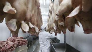 Perú inicia exportación de carne de cerdo a Bolivia
