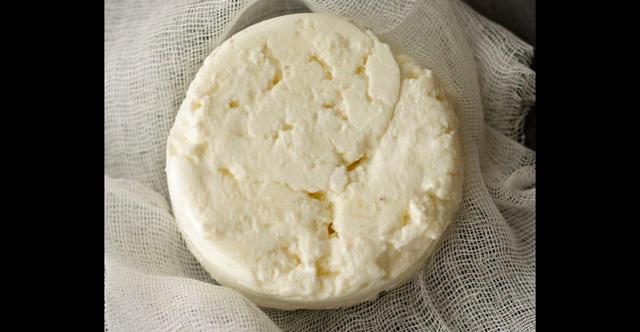 FOTO 3 | 4. Queso de Alce