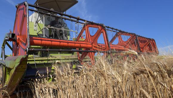 “En general, todo esto crea riesgos para la consecución de nivel de cosecha de cereales de 130 millones de toneladas”, dijo el ministro ruso. (Foto referencial: FETHI BELAID / AFP)