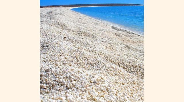 Playa de las conchas (Australia), esta particular playa no tiene arena, ni un solo puñado, solamente conchas. Y no son cualquier tipo de conchas, sino las más blancas que se puedan encontrar en el mundo, puesto que provienen de una especial población de a