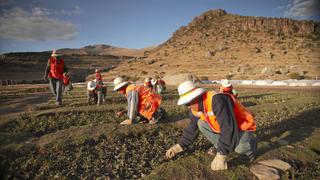 MEM destinará más de S/ 425 millones a remediar pasivos ambientales hasta el 2019