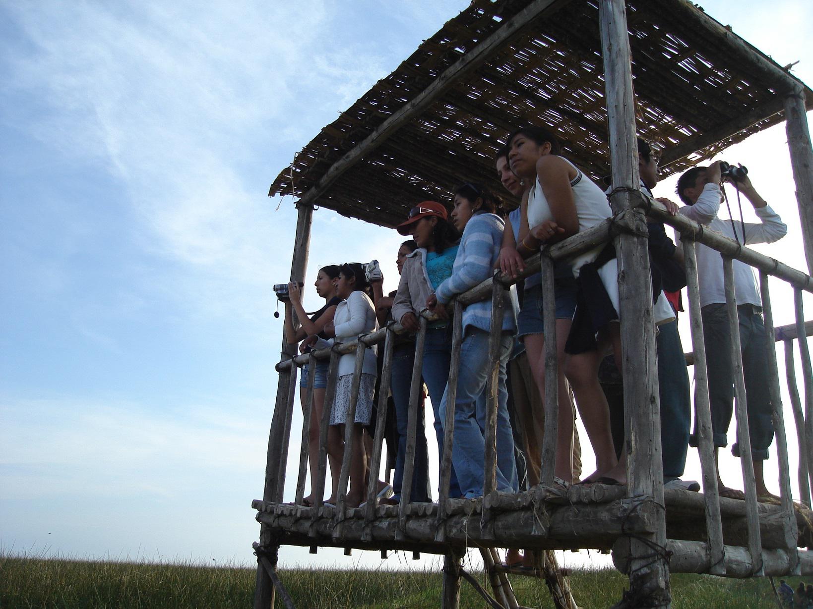 FOTO 1 | Lagunas de Mejía,  aventura en familia
Este Santuario Nacional en Arequipa se ha convertido en una de las rutas predilectas para observar aves que llegan de todo el mundo como flamencos, espátulas rosadas, gaviotas la garza azul, entre otras. Pero hay mucho más, la experiencia va acompañada de caminatas fáciles para los niños y la posibilidad de recorrerla en bicicleta. Puedes visitar también su Centro de Interpretación, donde los guardaparques te explicarán previamente la importancia de este gran humedal para que disfrutes y entiendas mejor el recorrido.
El recorrido completo tiene una duración de entre 2 y 3 horas. ¿Cómo llegar? El Santuario Nacional Lagunas de Mejía se ubica en la costa arequipeña en los distritos de Mejía y Dean Valdivia, a solo tres horas de la ciudad de Arequipa.